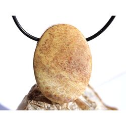 Versteinerte Koralle XXL Schmuckstein Cabochon /...