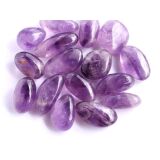 Amethyst hell / mittelhell Trommelsteine - schöne...
