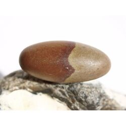 Shiva Lingam Ei (Sandstein/Tonstein) Trommelstein - Sonderqualitt - ca. 3,1 cm x 1,4 cm (GKS)