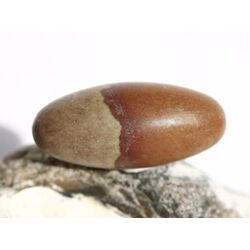 Shiva Lingam Ei (Sandstein/Tonstein) Trommelstein - Sonderqualitt - ca. 3,1 cm x 1,4 cm (GKS)