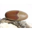 Shiva Lingam Ei (Sandstein/Tonstein) Trommelstein - Sonderqualität - ca. 3,1 cm x 1,4 cm (GKS)