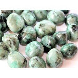 Smaragd Trommelsteine (Beryll) - Raritt - ca. 2 - 2,5 cm / ca. 10 - 12 g/St