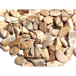 Landschaftsjaspis Trommelsteine mini (S) - ca. 1 - 3 cm / ca. 50 g