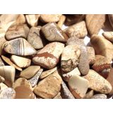 Landschaftsjaspis Trommelsteine mini (S) - ca. 1 - 3 cm / ca. 50 g
