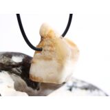 Opalholz / Holzopal / versteinertes Holz opalisiert XL...