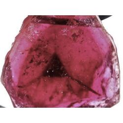 Turmalin rosa (Rubellit) Kristallquerschnitt / Schmuckstein gebohrt - Raritt - AA-Sonderqualitt - Handarbeit - ca. 2,8 cm x 2,5 cm x 1 cm