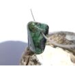 Smaragd Schmuckstein gebohrt (Beryll) - Rarität - ca. 2 cm x 1,3 cm x 1,3 cm