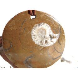 Ammonit in Matrix - XL Schmuckstein Cabochon / Scheibenstein gebohrt - ca. 3,8 cm x 3,8 cm x 0,6 cm