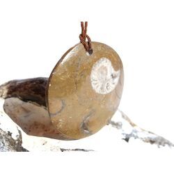 Ammonit in Matrix - XL Schmuckstein Cabochon / Scheibenstein gebohrt - ca. 3,8 cm x 3,8 cm x 0,6 cm