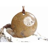 Ammonit in Matrix - XL Schmuckstein Cabochon /...