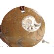 Ammonit in Matrix - XL Schmuckstein Cabochon / Scheibenstein gebohrt - ca. 3,8 cm x 3,8 cm x 0,6 cm
