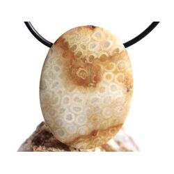 Versteinerte Koralle XXL Schmuckstein Cabochon /...