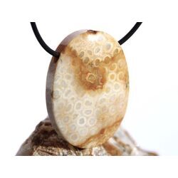 Versteinerte Koralle XXL Schmuckstein Cabochon / Scheibenstein gebohrt - ca. 4 cm x 3 cm x 0,9 cm