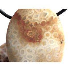 Versteinerte Koralle XXL Schmuckstein Cabochon / Scheibenstein gebohrt - ca. 4 cm x 3 cm x 0,9 cm