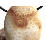 Versteinerte Koralle XXL Schmuckstein Cabochon / Scheibenstein gebohrt - ca. 4 cm x 3 cm x 0,9 cm