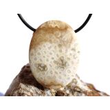 Versteinerte Koralle XXL Schmuckstein Cabochon / Scheibenstein gebohrt - ca. 4 cm x 3 cm x 0,9 cm