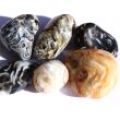 Achat-Geode XXL Trommelsteine - Sonderqualität - Rarität - ca. 3,8 - 4 cm / ca. 39 g/St (GKS)