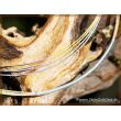 Stahlreifen / Halsreif mit Steckverschluss - stahlgrau / goldfarben - 4 dünne Kordeln (0,5 mm) - ca. 42 cm -