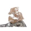 Schlangenhautachat Trommelstein - Sonderqualität - ca. 3 cm x 2,8 cm x 1,8 cm (GKS)