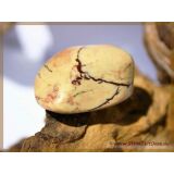 Pyrophyllit XXL Trommelstein / Handschmeichler - Sonderqualität - ca. 3,7 cm x 3,6 cm x 2,2 cm (GKS)