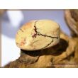 Pyrophyllit XXL Trommelstein / Handschmeichler - Sonderqualität - ca. 3,7 cm x 3,6 cm x 2,2 cm (GKS)
