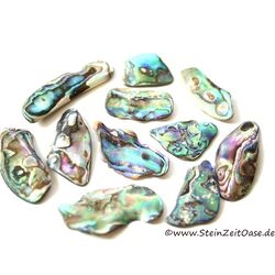 Paua-Muschel (Abalone) - ca. 2 - 2,4 cm