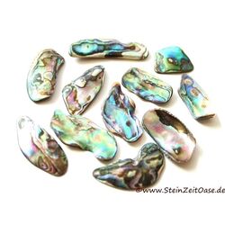 Paua-Muschel (Abalone) - ca. 2 - 2,5 cm / 20 g