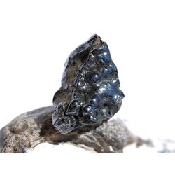 Psilomelan (Braunstein) Rohstein - Raritt - Sonderqualitt - ca. 3,1 cm x 1,8 cm x 1,2 cm (Fairer Handel/Fair Trade)