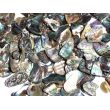 Paua-Muschel (Abalone) - ca. 1 - 1,5 cm / 30 g