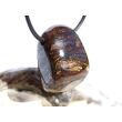 Bronzit Trommelstein / Schmuckstein gebohrt - Sonderqualität - ca. 3,1 cm x 2,1 cm x 1,6 cm