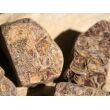 Schlangenjaspis (Schlangenstein / Fossilienkalk) Wassersteine-Sonderqualität / Rohsteine extra angetrommelt - ca. 50 g