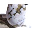 Ozeanachat Schmuckstein Cabochon / Trommelstein gebohrt (Ozeanchalcedon / Ozeanjaspis) - Sonderqualität - ca. 3,1 cm x 2,2 cm x 1 cm