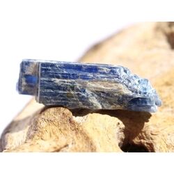 Disthen blau Kristallstab / Rohkristall (Cyanit / Kyanit) - Dose - Sonderqualit�t - Rarit�t - ca. 3 cm x 0,9 cm x 0,5 cm (Fairer Handel/GKS)