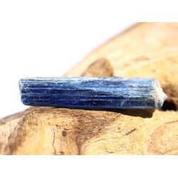Disthen blau Kristallstab / Rohkristall (Cyanit / Kyanit) - Dose - Sonderqualit�t - Rarit�t - ca. 3,3 cm x 0,7 cm x 0,4 cm (Fairer Handel/GKS)