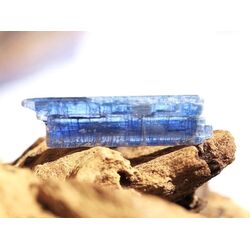 Disthen blau Kristallstab / Rohkristall (Cyanit / Kyanit) - Dose - AA-Sonderqualit�t - Rarit�t - ca. 2,9 cm x 0,8 cm x 0,3 cm (Fairer Handel/GKS)