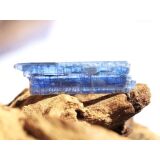 Disthen blau Kristallstab / Rohkristall (Cyanit / Kyanit) - Dose - AA-Sonderqualität - Rarität - ca. 2,9 cm x 0,8 cm x 0,3 cm (GKS)