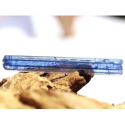 Disthen blau XXL Kristallstab / Rohkristall (Cyanit / Kyanit) - Dose - AA-Sonderqualit�t - Rarit�t - ca. 4,3 cm x 0,6 cm x 0,2 cm (Fairer Handel/GKS)