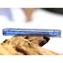 Disthen blau XXL Kristallstab / Rohkristall (Cyanit / Kyanit) - Dose - AA-Sonderqualität - Rarität - ca. 4,3 cm x 0,6 cm x 0,2 cm (GKS)