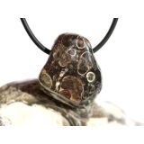 Turitella-Jaspis Trommelstein gebohrt - Sonderqualität - ca. 2,7 cm x 2,3 cm x 1,5 cm (ES)