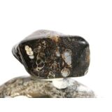 Turitella-Jaspis Trommelstein - Sonderqualität - ca. 3 cm x 2 cm x 1,7 cm