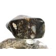 Turitella-Jaspis Trommelstein - Sonderqualität - ca. 3 cm x 2 cm x 1,7 cm