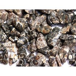 Turitella-Jaspis Trommelsteine mini (S) - Sonderqualitt - ca. 1 - 2,5 cm / ca. 50 g