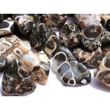 Turitella-Jaspis Trommelsteine mini (S) - Sonderqualitt...
