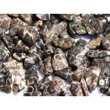 Turitella-Jaspis Trommelsteine mini (S) -...