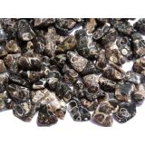 Turitella-Jaspis Trommelsteine mini (S) - Sonderqualität - ca. 1 - 2,5 cm / ca. 50 g