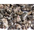 Turitella-Jaspis Trommelsteine mini (S) - Sonderqualität - ca. 1 - 2,5 cm / ca. 50 g