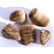 Landschaftsjaspis Trommelsteine - Sonderqualität - ca. 3,1 - 3,3 cm / ca. 13-15 g/St (GKS)