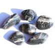 Achat grau (Ashburton Achat) Trommelsteine - Sonderqualität - ca. 2,5 - 2,7 cm / ca. 9 g/St (GKS)