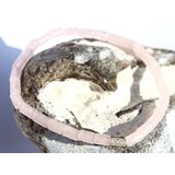 Rosenquarz Armband Zylinder mit Silberperle - ca. 18,5 cm...