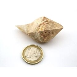 Bergkristall Zepterquarz / Szepterquarz Natur-Kristall - Rarit�t - ca. 4,5 cm x 3,1 cm x 2,3 cm